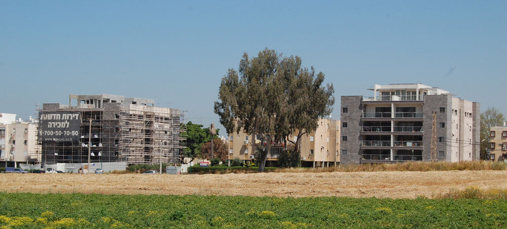 תמ''א 38 בית האדריכל דרור רימוק רחוב האילנות בבניה