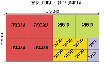 באדיבות שושן דגן באדיבות שושן דגן