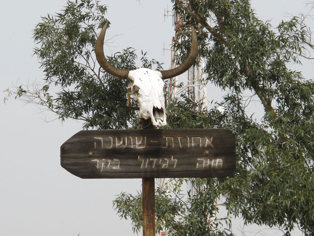 סיור בעמק הירדן השלט בכניסה לחוות שושנה של מאיר הר ציון, על שם האחות שנרצחה