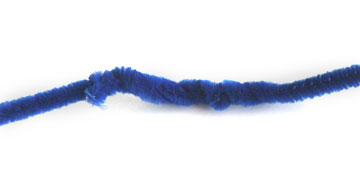 צילום: נועה נשר צילום: נועה נשר