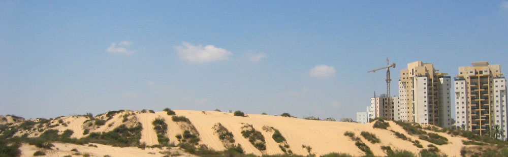 פארק החולות חולון