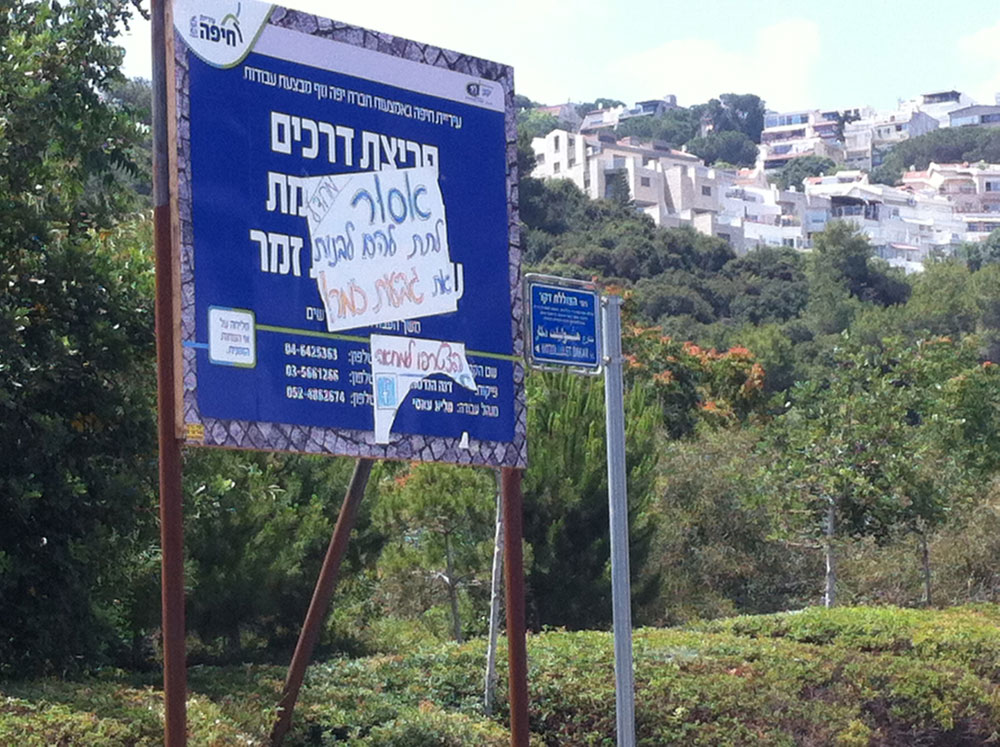 מאבק התושבים נגד בניית גבעת זמר. גבעת זמר כריתת עצים חיפה