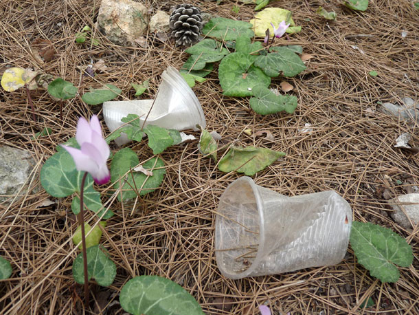 צילום: עידן נויברג צילום: עידן נויברג