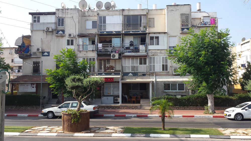 עץ הזית, שנחשב לסמל המקומיות והארץ הישראליות, לא נוגע באדמה. באור יהודה הוא צומח בתוך מכלים וגזום למשעי בסגנון בונסאי אור יהודה גינון