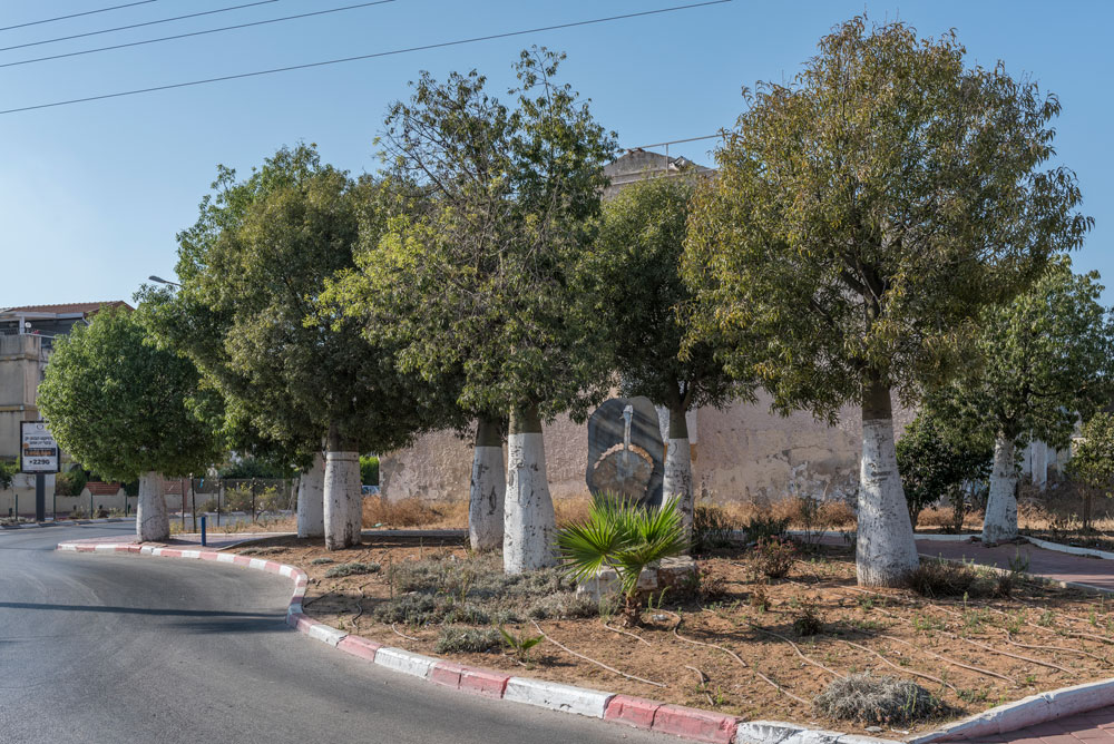 העצים מסוידים כמו בבסיס צבאי, ואיי התנועה מצופים בדשא ירוק-עד מפלסטיק אור יהודה גינון כיכר דינו רוקח יחזקיאל קזז הרצל