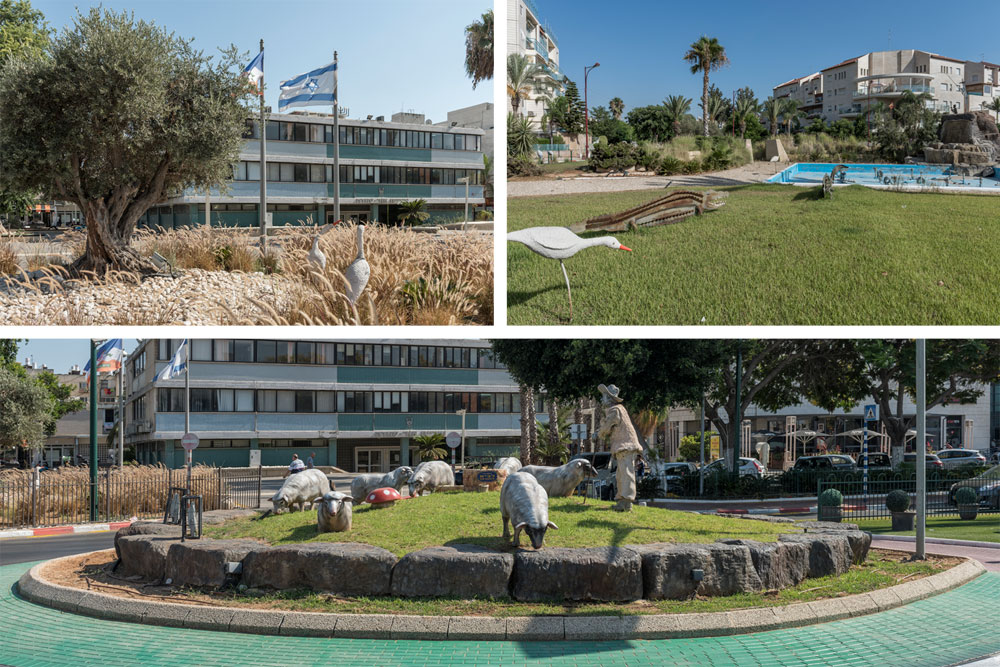 לא ברור אם התושבים הם העדר, אבל דוד יוסף הוא הרועה. גמלים, כבשים, ציפורים ופרות הם אלמנט פופולרי במעגלי התנועה, ממש כמו בטבע אור יהודה גינון כיכר יורם טהרלב משה דיין שד' בן גוריון+ שד אליהו סעדון העירייה