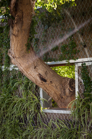 צילום: איל תגר צילום: איל תגר