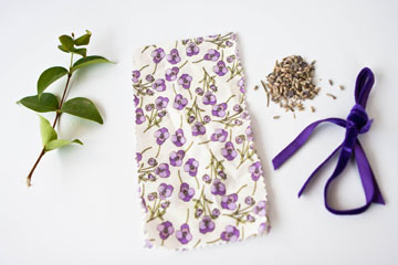 צילום: נועה נשר צילום: נועה נשר