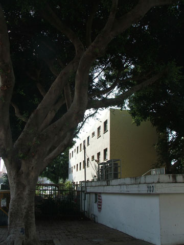 צילום: עילם טייכר צילום: עילם טייכר