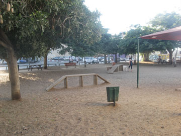 צילום: עילם טייכר צילום: עילם טייכר