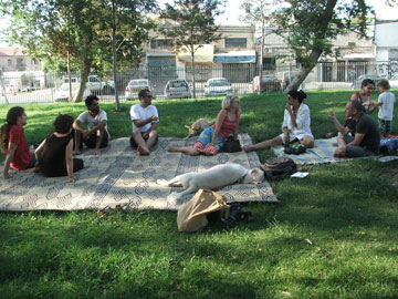 צילום: עילם טייכר צילום: עילם טייכר