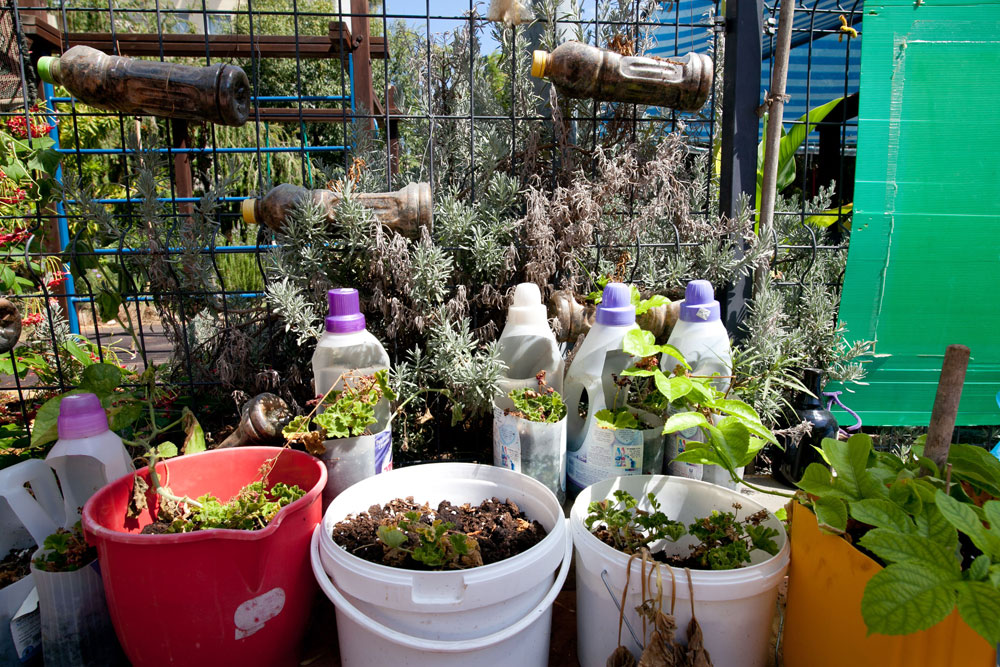 גן ירוק תל אביב אלכסנדר פן