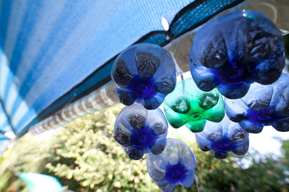 גן ירוק תל אביב אלכסנדר פן