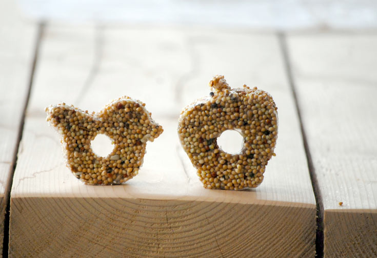 מתקן להאכלת ציפורים