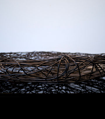 צילום: איתי סיקולסקי צילום: איתי סיקולסקי