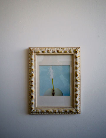 צילום: איתי סיקולסקי צילום: איתי סיקולסקי