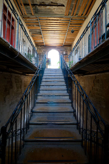 צילום: איתי סיקולסקי צילום: איתי סיקולסקי