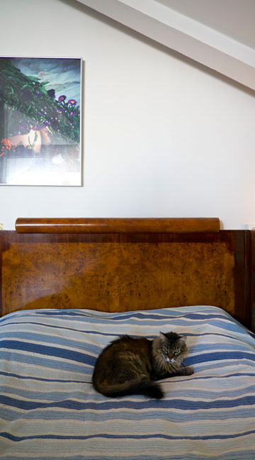 צילום: איתי סיקולסקי צילום: איתי סיקולסקי