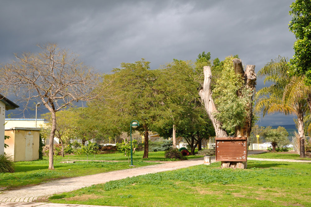בית הספר ''גאון דרכא'' בעמק המעיינות, שבו משולבים ילדים על הספקטרום האוטיסטי, מרהיב ביופיו בזכות החצר והתעלות הזורמות בה. כאן אין גנן: התלמידים שותלים בעצמם בית ספר עמק המעיינות
