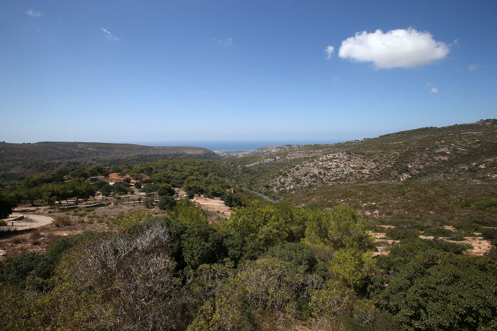 יערות הכרמל. ייחשבו כשטח ציבורי פתוח שעומד לרשות תושבי חיפה. ''אבסורד שנוגע להקל על יזמים ובעלי עניין'', מזהירה יעל דורי, ראש תחום תכנון בעמותת ''אדם טבע ודין'' יערות הכרמל