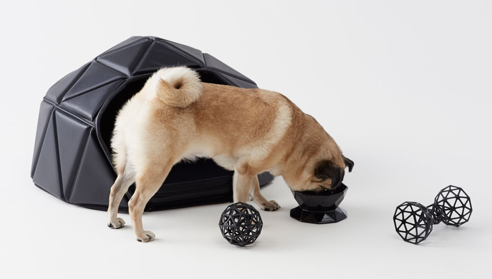 לשימוש הבלוג בלבד טננבאום חזן חיות ננדו