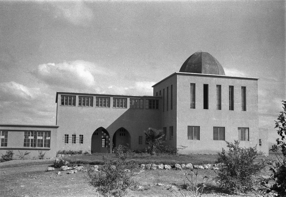 לשימוש הכתבה בלבד הצלמניה