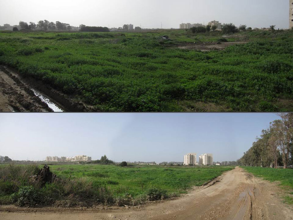 הגן הבוטני. כאן יצעדו בין הרי האטלס, ספרד ופורטוגל והחורש הים תיכוני שלנו. כביש יחצוץ בין שני חלקי הגן הדמיות גן בוטני עכו
