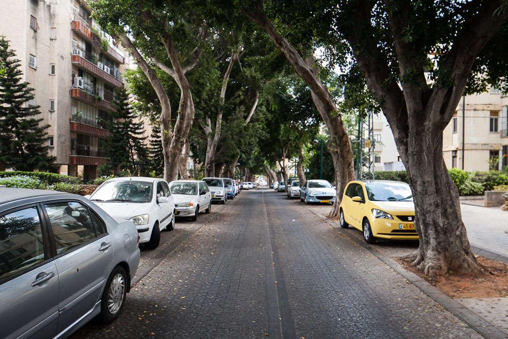 מהנדס העיר המיתולוגי, יוסף קולודני, אחראי לשימור האופי הפסטורלי של כפר סבא. עיר שטובלת בירק כפר סבא בחירות מקומיות 2013