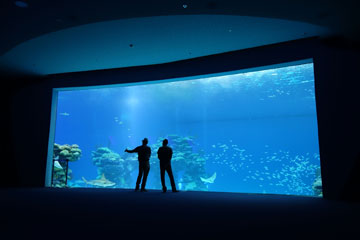 צילום: מיכאל יעקובסון צילום: מיכאל יעקובסון