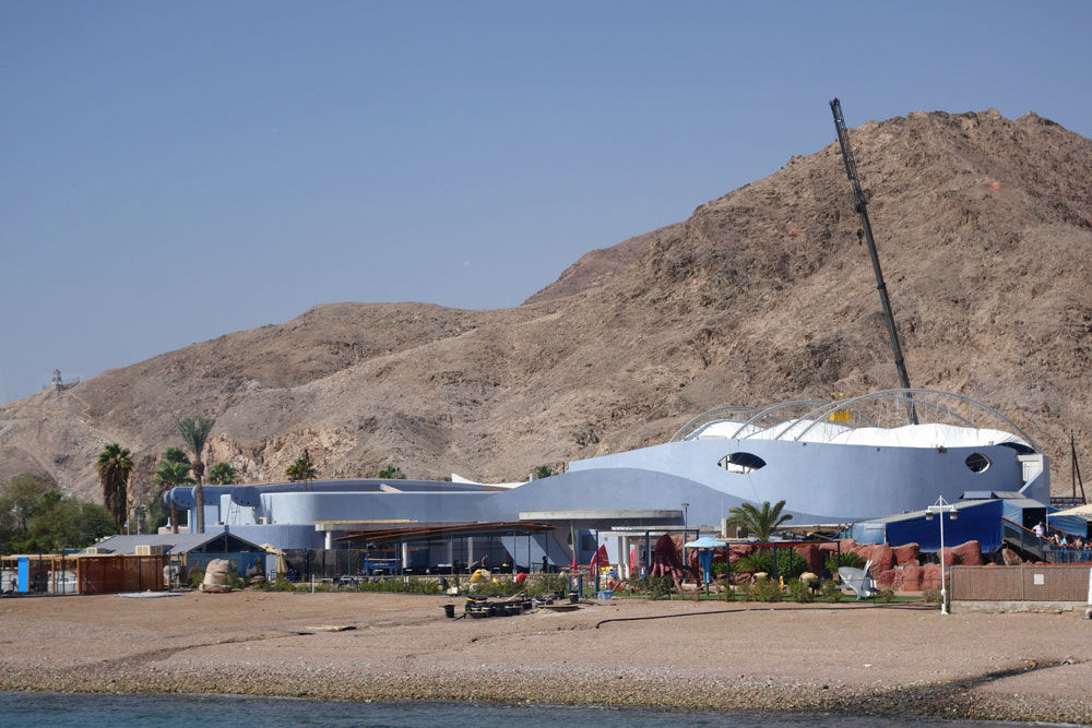 בריכת כרישים המצפה התת-ימי