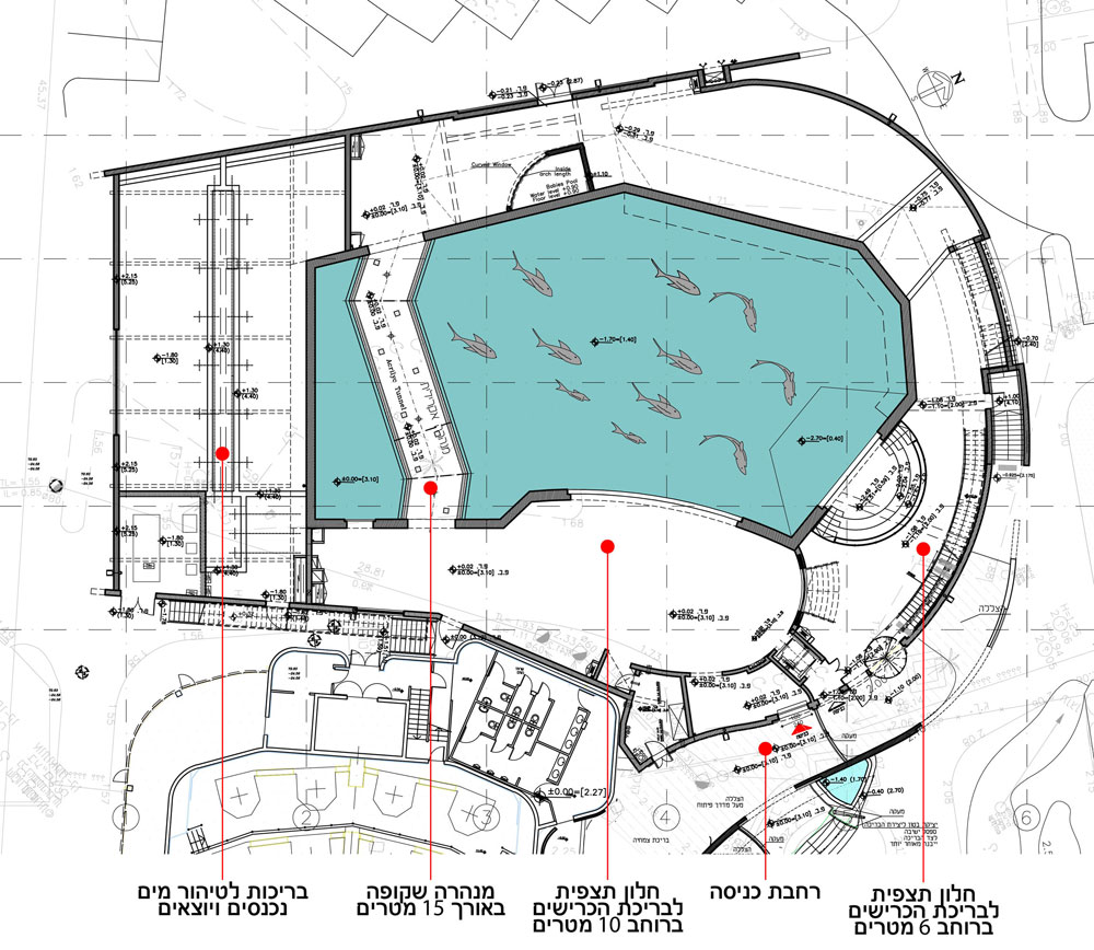 בריכת כרישים המצפה התת-ימי פלג אדריכלים 