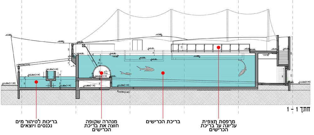 בריכת כרישים המצפה התת-ימי פלג אדריכלים 