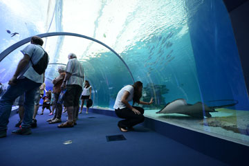 צילום: עידן קימא ובועז סמוראי צילום: עידן קימא ובועז סמוראי