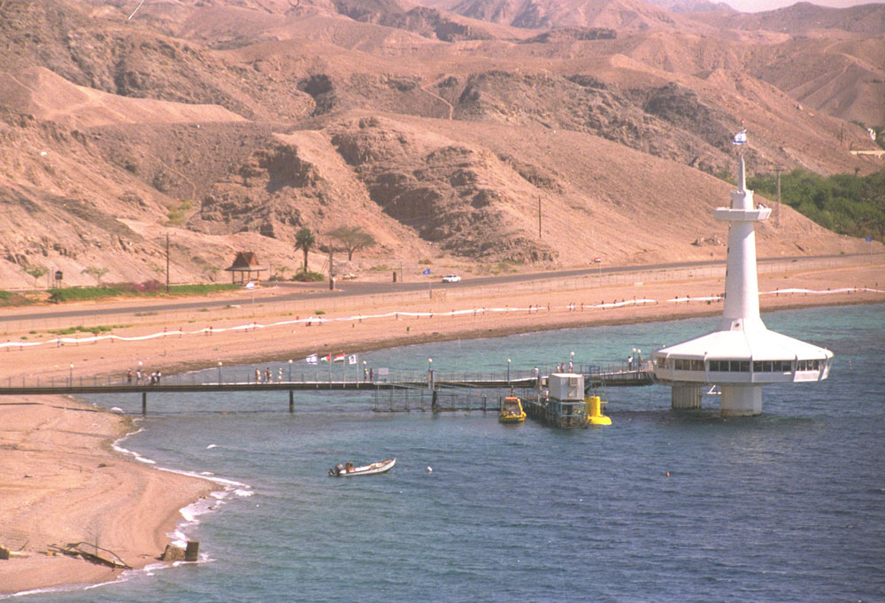 בריכת כרישים המצפה התת-ימי 1995