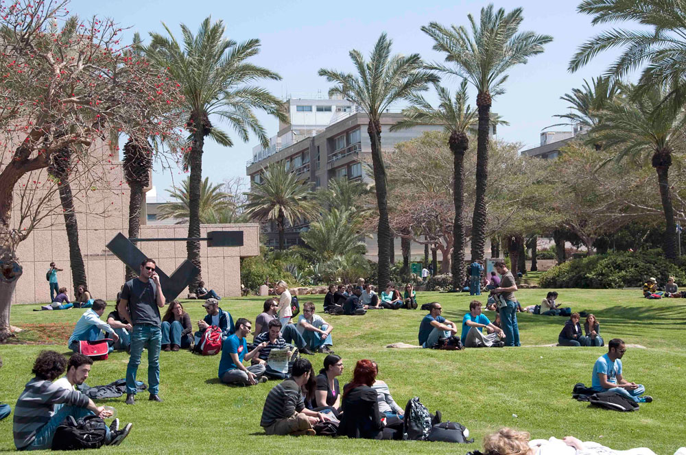 המדשאה המרכזית באוניברסיטת ת''א ברמת אביב. הקמפוס עוצב בנדיבות המזכירה תכנון של קיבוץ ותיק: מבנים מבודדים הפזורים בגן פתוח, שהוא האלמנט המאחד והמארגן נוף קמפוסים אוניברסיטת תל אביב גילמן