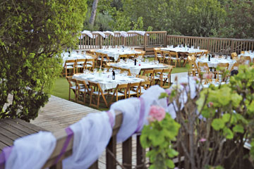 צילום: רביב שטיין צילום: רביב שטיין