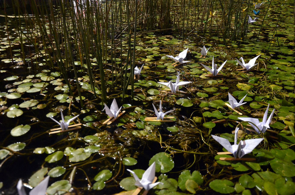 לילה אורבני עונת הנדידה