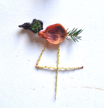 צילום: שושן דגן צילום: שושן דגן