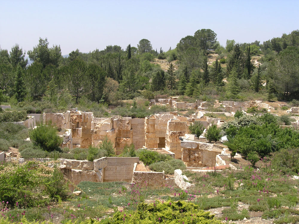בית הקהילות יד ושם משרד דן צור ליאור וולף אדריכלי נוף