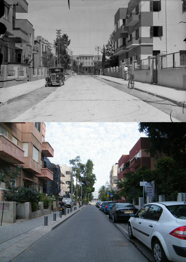 צילום: אברהם סוסקין, מכון לבון, ארכיון תנועת העבודה ואבי לוי צילום: אברהם סוסקין, מכון לבון, ארכיון תנועת העבודה ואבי לוי