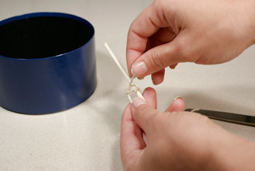 צילום: ענבל עופר צילום: ענבל עופר