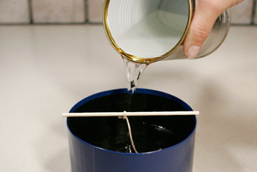 צילום: ענבל עופר צילום: ענבל עופר