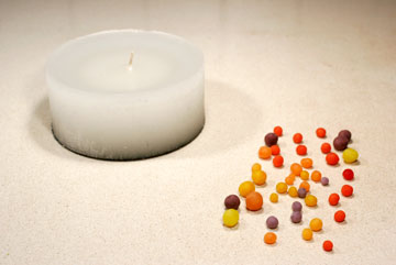 צילום: ענבל עופר צילום: ענבל עופר