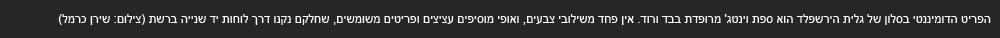 הפקה דירת קבלן