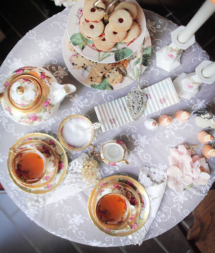 סימה קנטור מסיבת גן