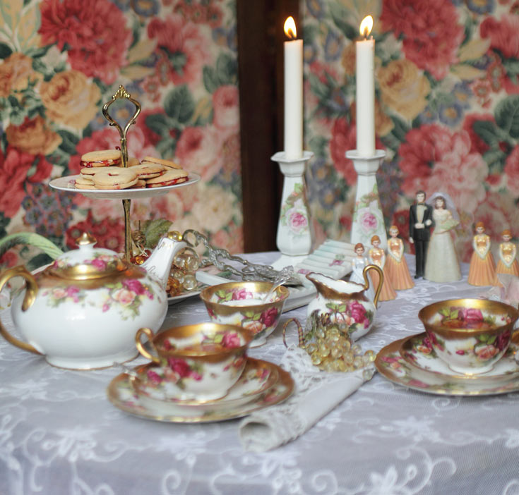 סימה קנטור מסיבת גן