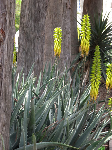 צילום: גלית רודה צילום: גלית רודה