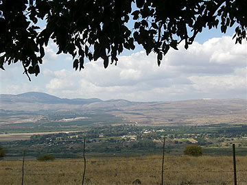 צילום: אריאלה אפללו צילום: אריאלה אפללו