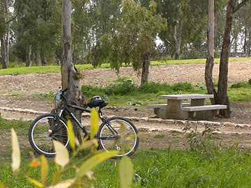 צילום: אריאלה אפללו צילום: אריאלה אפללו