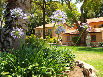 צילום: אריאלה אפללו צילום: אריאלה אפללו